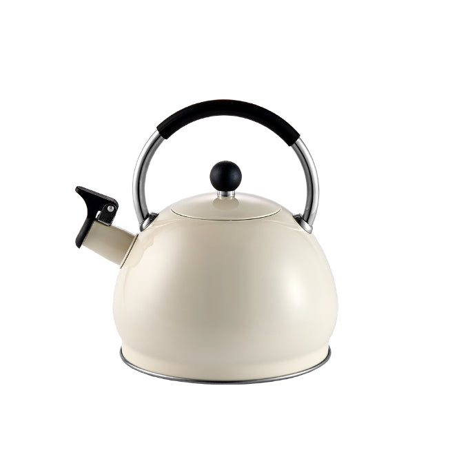 Oat stovetop kettle with curved hand and pouring spout.